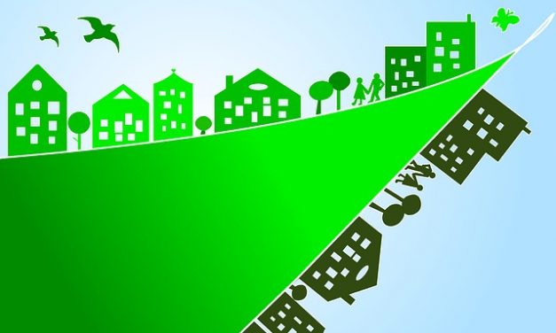 Green Bond Investing: Perspektiven für die Immobilienwirtschaft