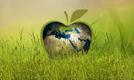 Green Investment: so können Sie ökologisch investieren