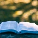 Buch Green Finance: Diese Werk sollten Sie kennen