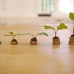 Grüne Geldanlage – Wichtige Marktsignale für ein nachhaltiges Investment